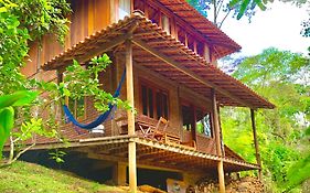 Casa Araucária 2